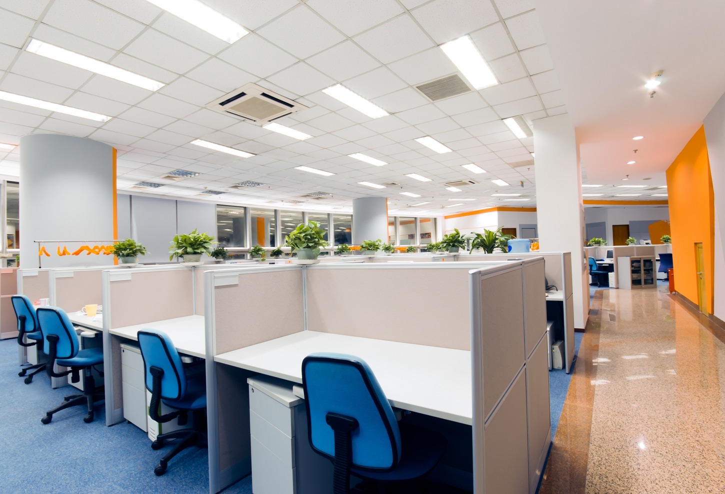 Office & Commercial Cleaning